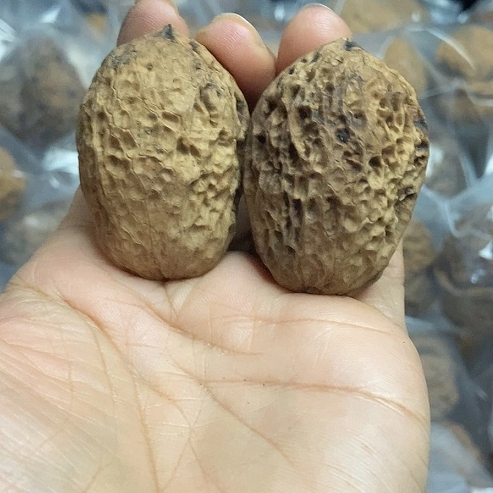 把件文玩核桃云南铁核桃基地77