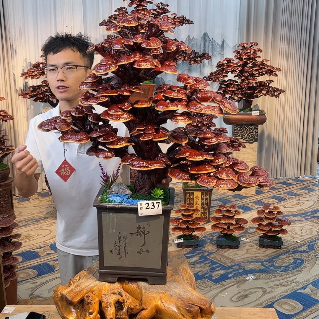 无花朵88888888888888