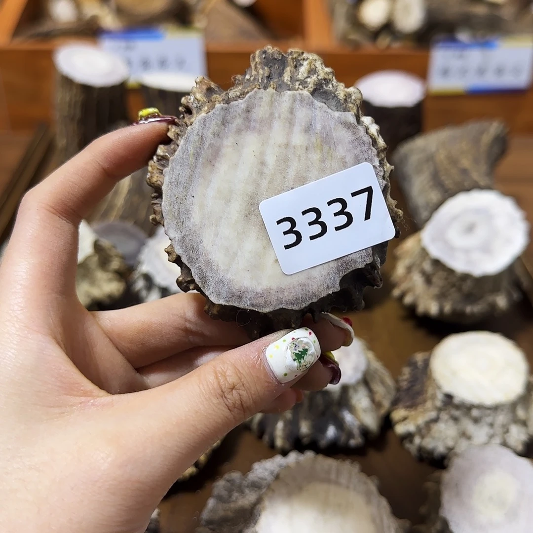 手串/手链鹿骨角帽3337