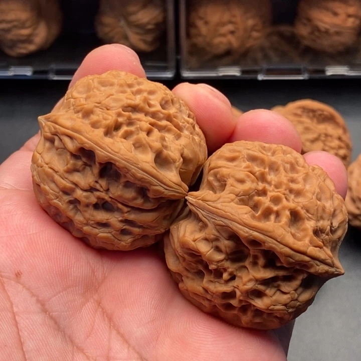 40尺寸全品无修大团圆
