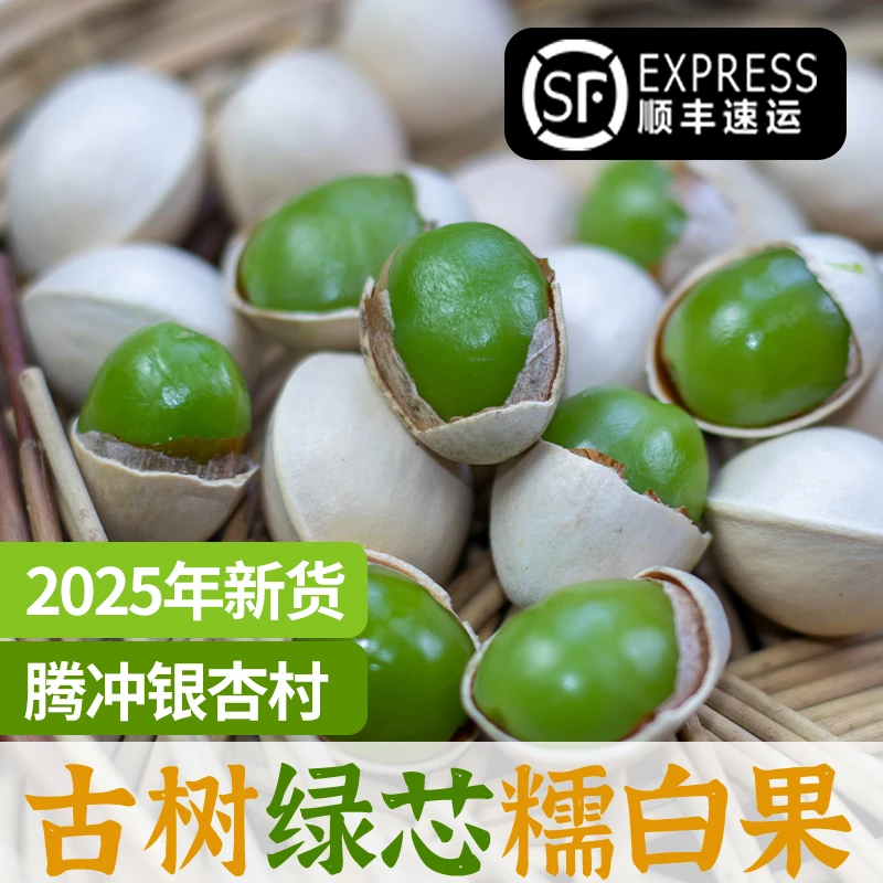 云南腾冲古树新鲜银杏果绿芯老品种糯白果可炖鸡白果仁干货日料