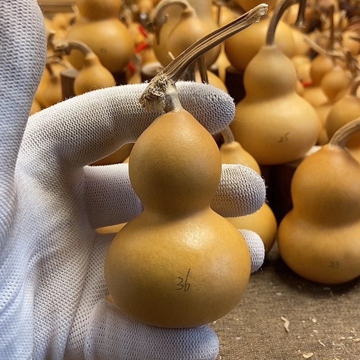 文玩葫芦 完美主义者 慎拍36