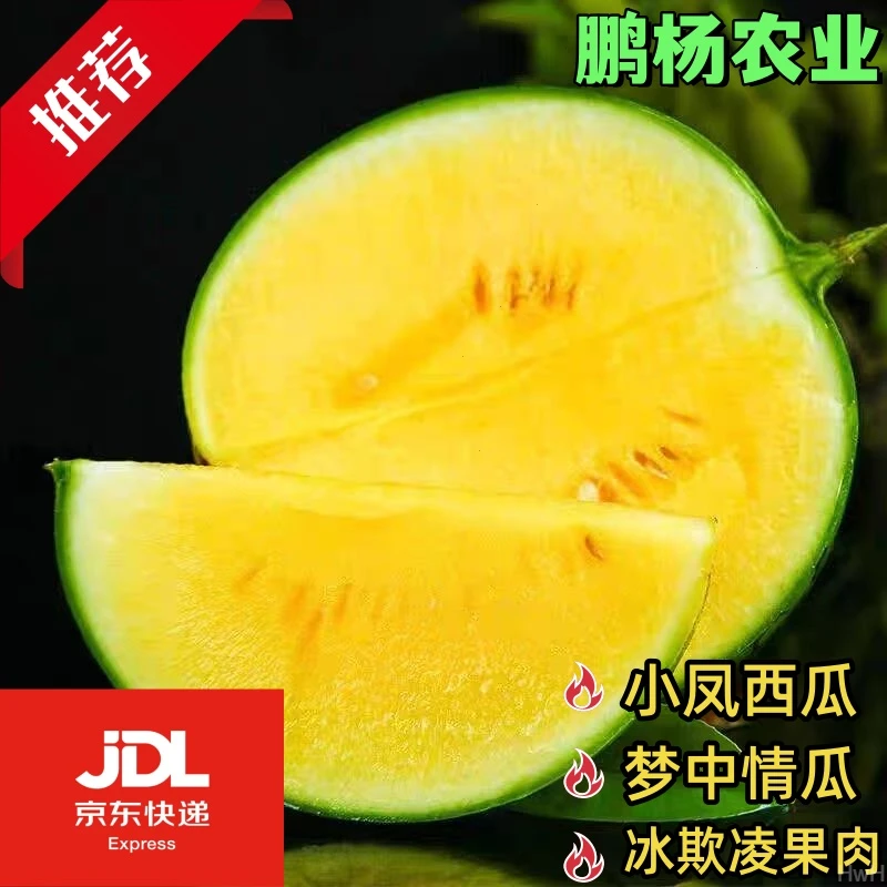 小上乘爽口产地 |西瓜||清甜 品质  凤脆爽 精选