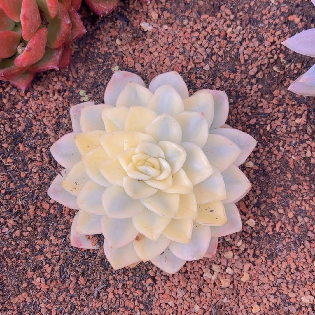 浩***浩无花朵11111111111111