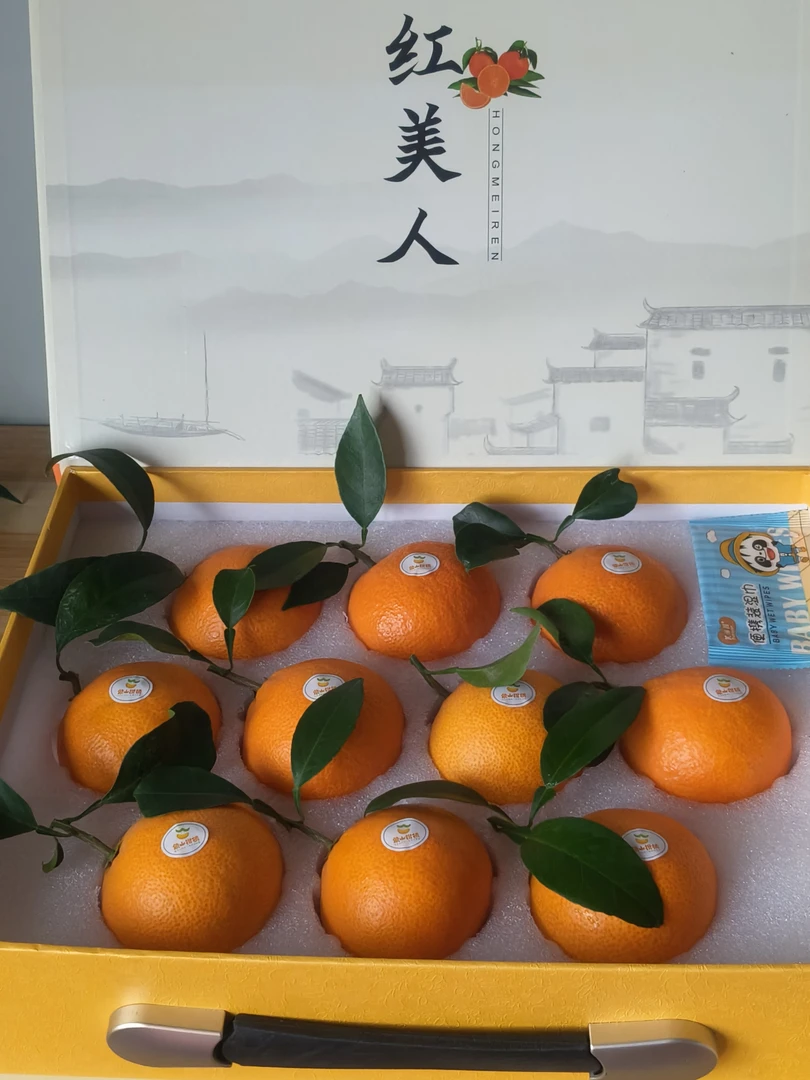 正宗象山核心产地红美人柑橘