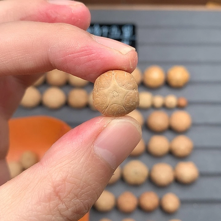 吊坠凤眼菩提微瑕15+五星，非质量问题开孔不退