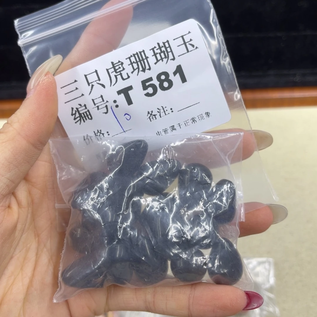R***X硅化珊瑚（珊瑚玉）h未镶嵌