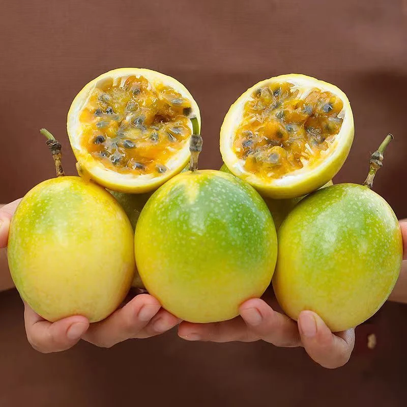 《小军严选》百香果 钦蜜九号黄金 包邮净果2斤左右新鲜钦蜜9号海南省
