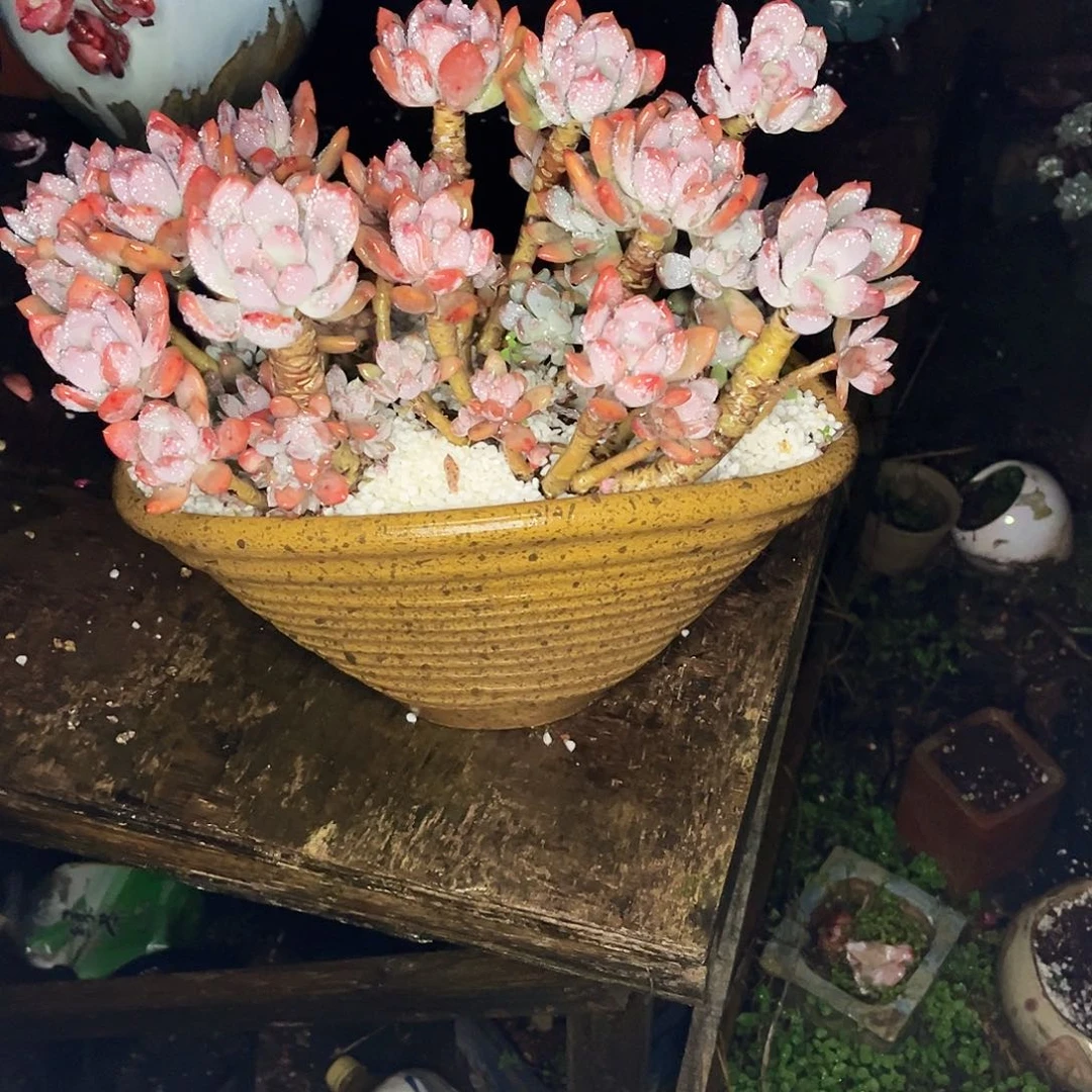 苹*?在这样下去＂我在。我在外面吃饭