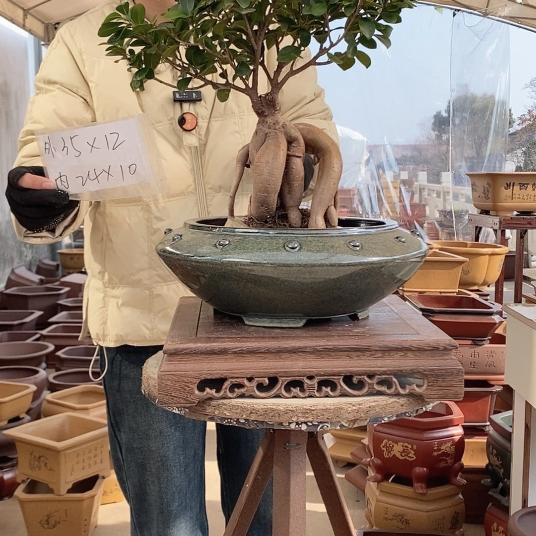 花盆紫砂紫砂花盆