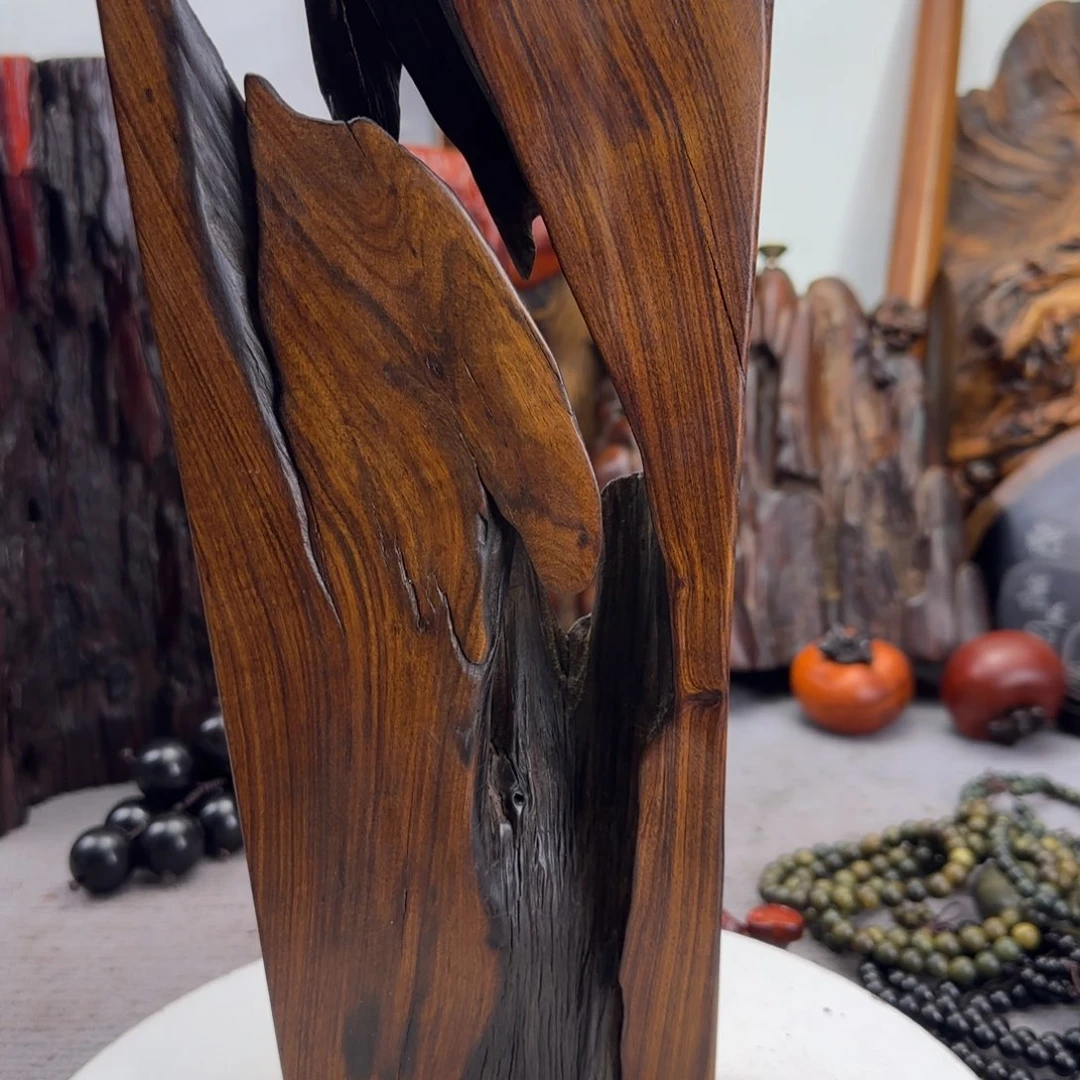 大果紫檀（缅甸花梨）亚*西