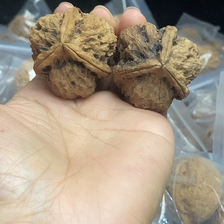 木质类云南铁核桃+31