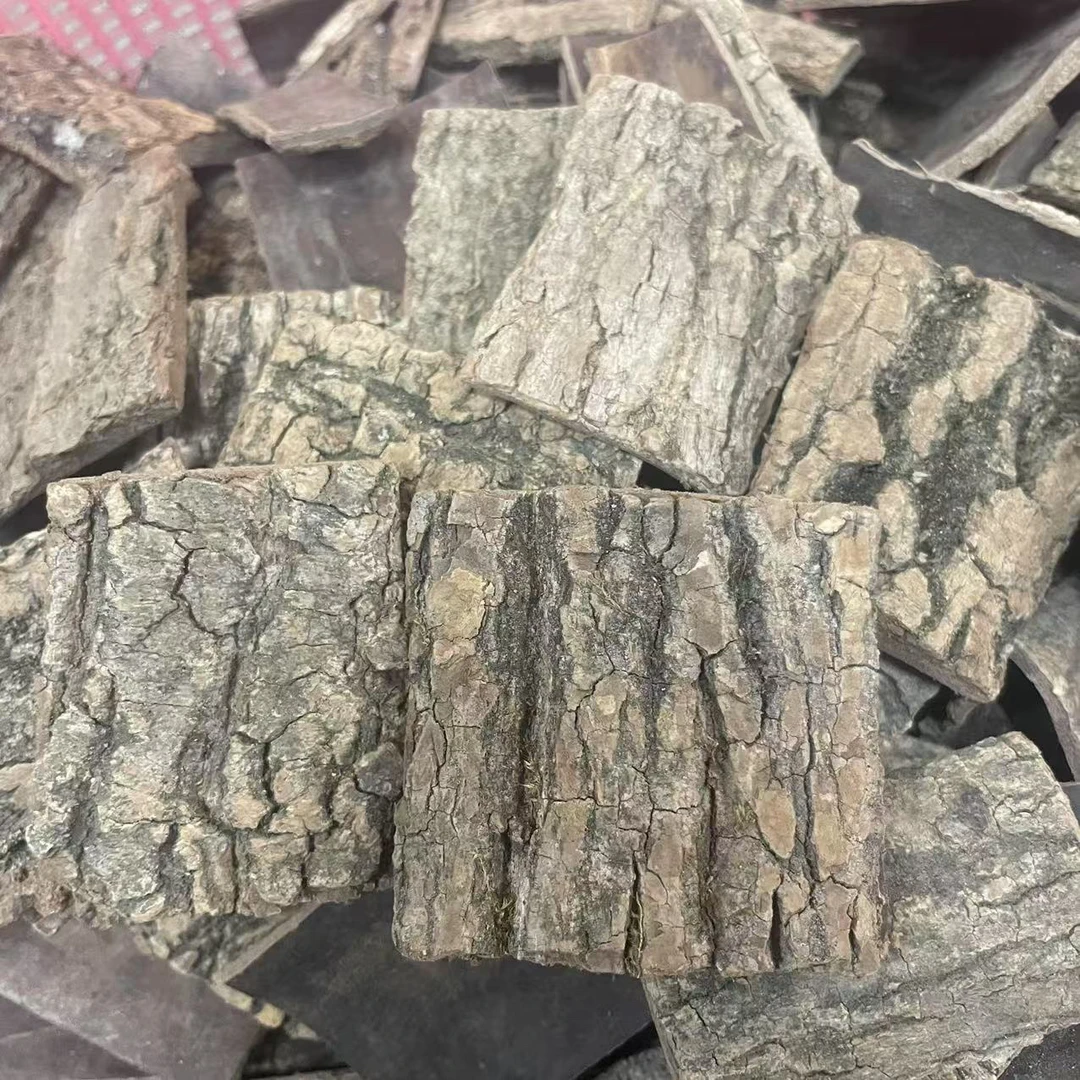 杜仲 养生煲汤料