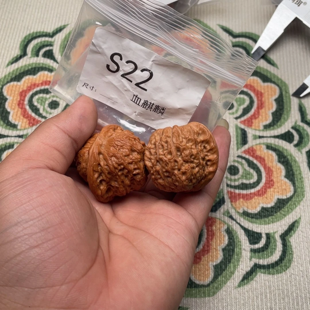 血麒麟38尺文玩核桃
