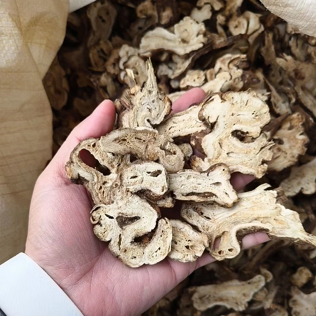 精选大片白术 无硫熏 正品假一赔十可搭配陈皮打碎打粉