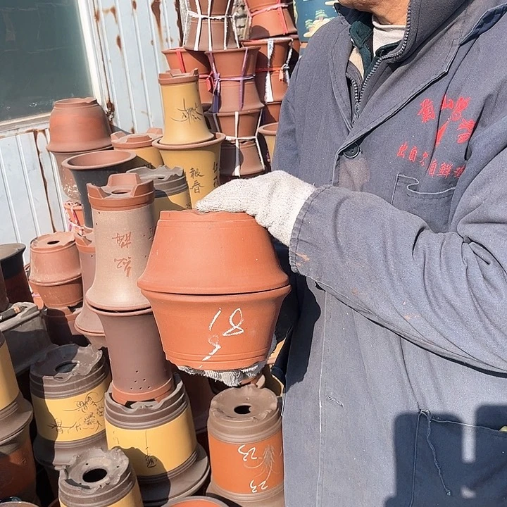 紫砂紫砂花盆和花盆里