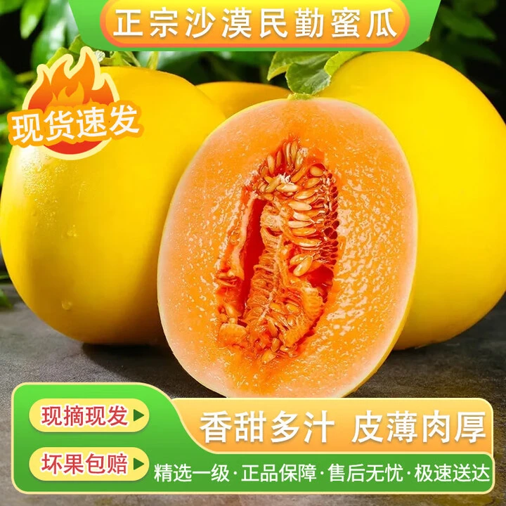 甘肃民勤沙漠蜜瓜金红宝甜瓜脆甜多汁产地现摘现发整箱包邮X