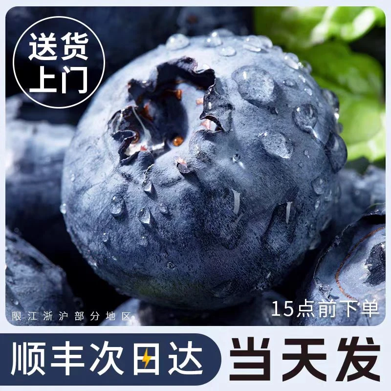 【拍1盒送1盒】  苏北25花香蓝莓 脆甜 现摘现发  顺丰包邮