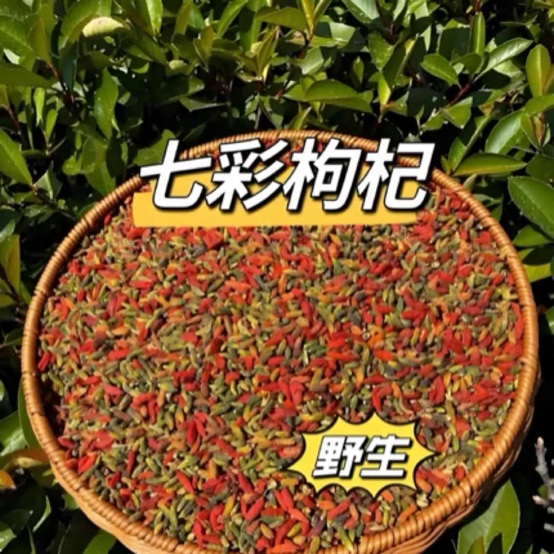 高山自采【野生七彩枸杞】泡茶佳品