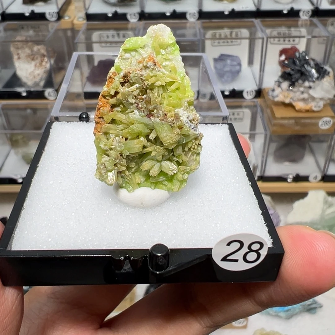 银S925镶嵌大型摆件（非配饰）紫晶