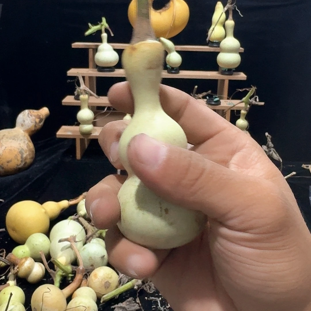 人***天定向定向定向定向