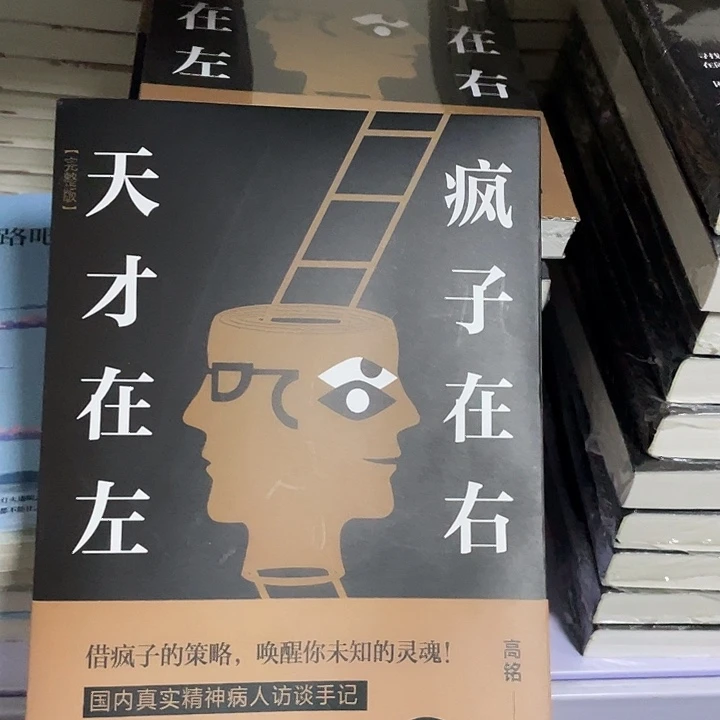 天才在左 平装带塑封