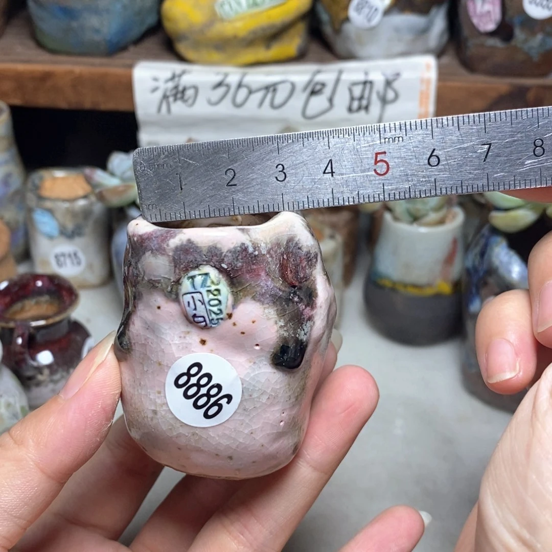 拍3送一个小礼物