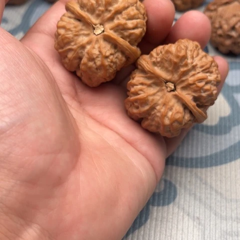 浣***沙吊坠文玩核桃蛤蟆