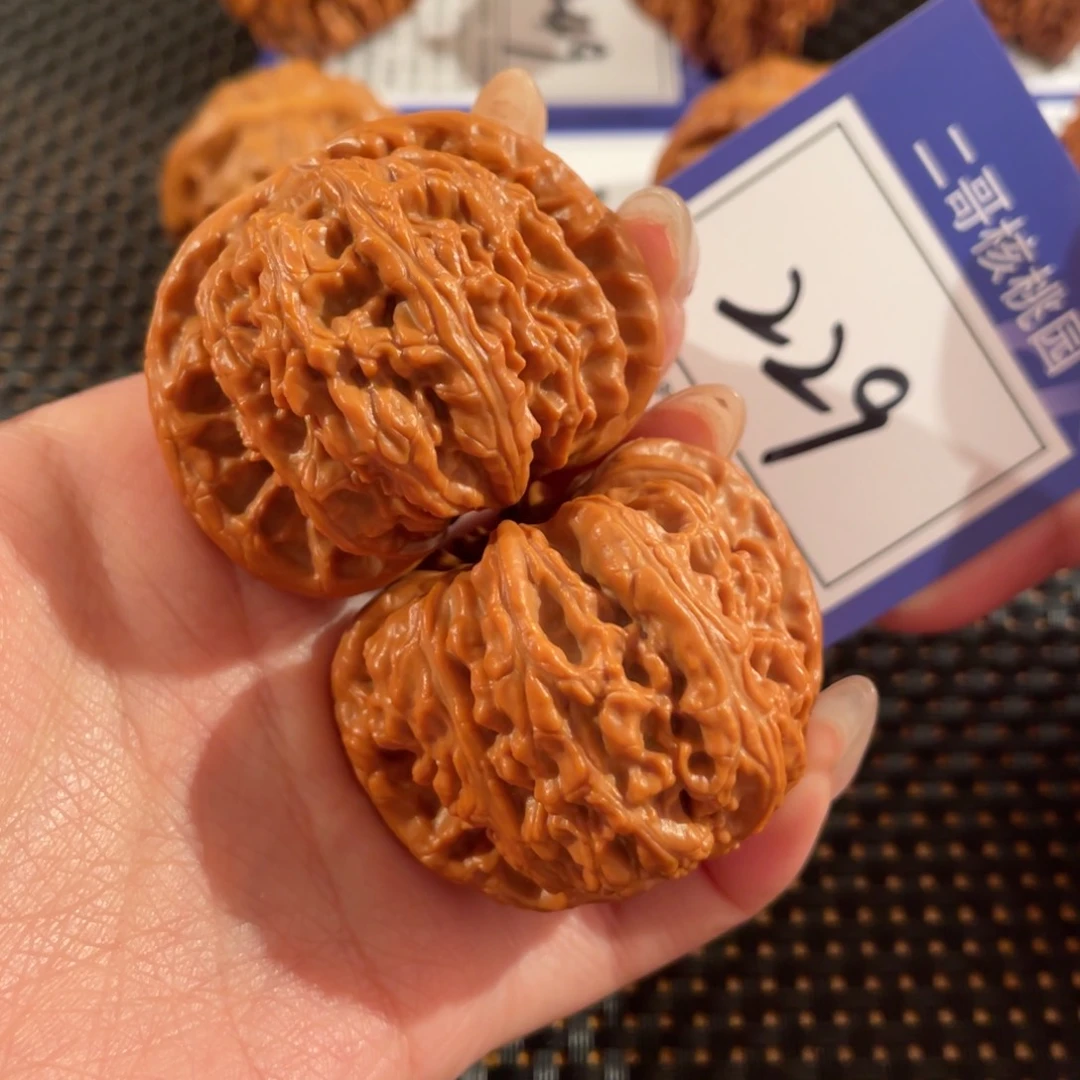 文玩核桃把件干*229号45尺白狮子