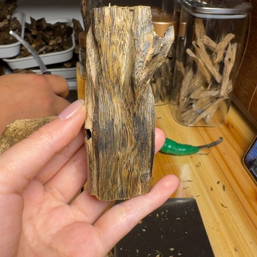 沉香白奇品种虫漏原料24.8克
