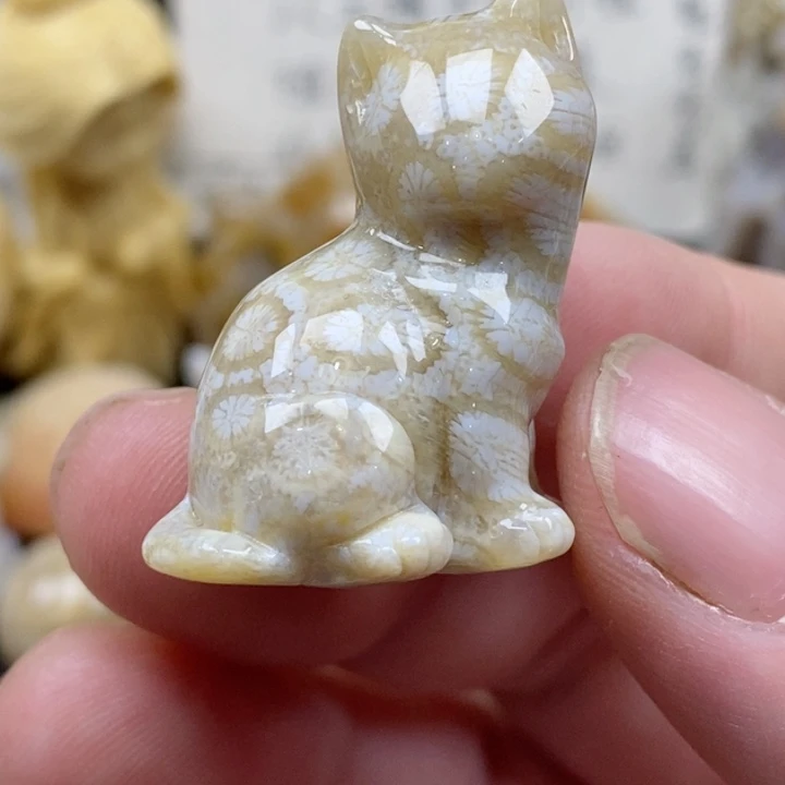 颈饰未镶嵌硅化珊瑚（珊瑚玉）