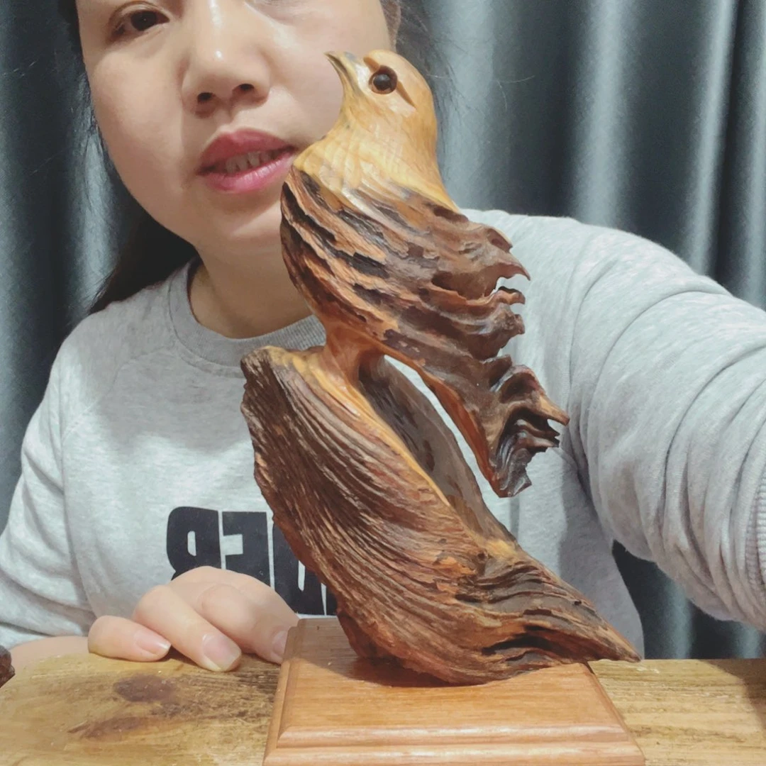 健***乐百年树的生长环境