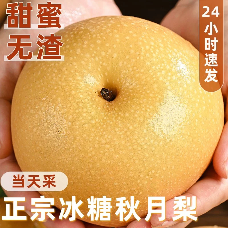 正宗山东莱阳秋月梨个头超大脆甜爽口细嫩化渣