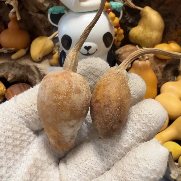 *****666667777788888888