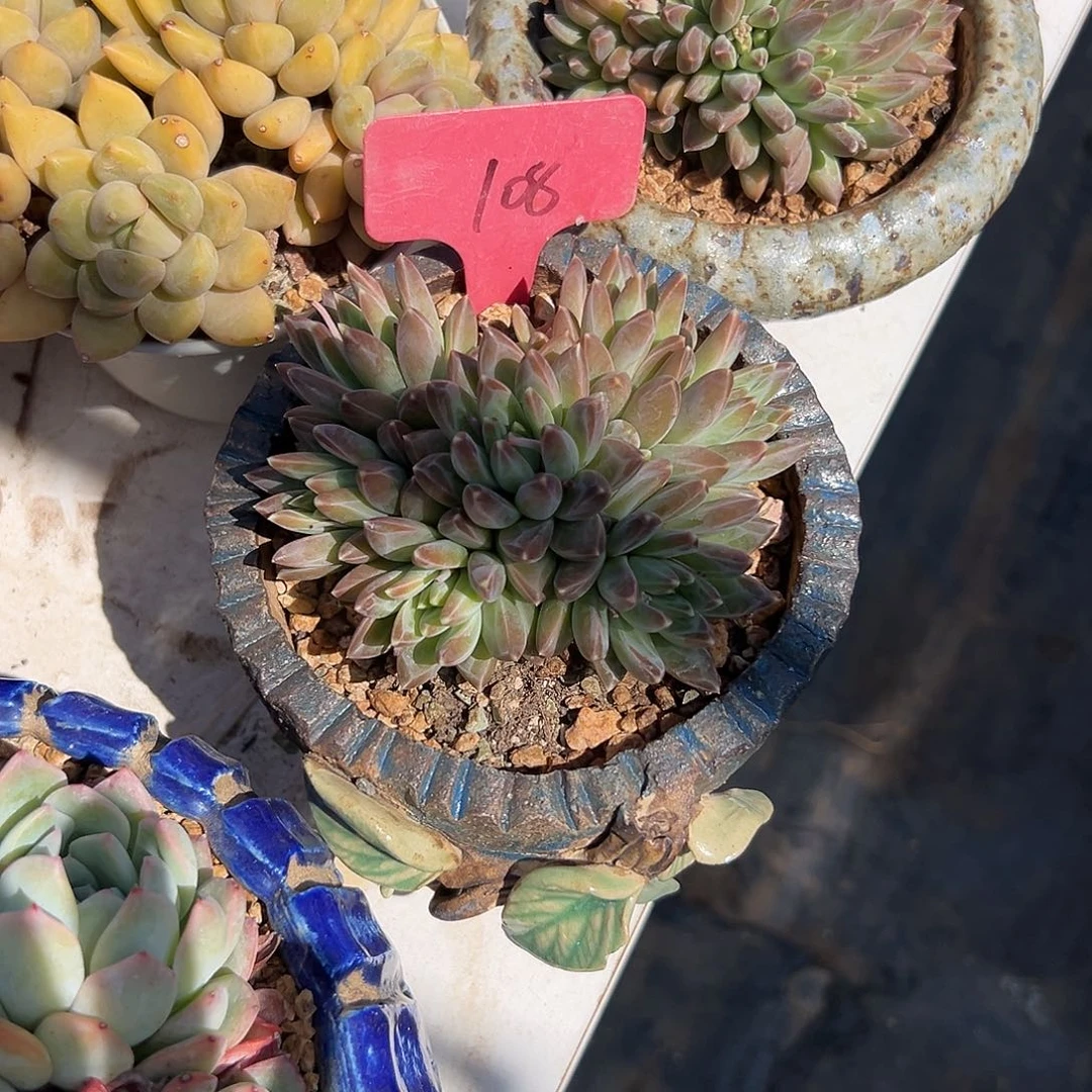 安*多少年了还是不懂