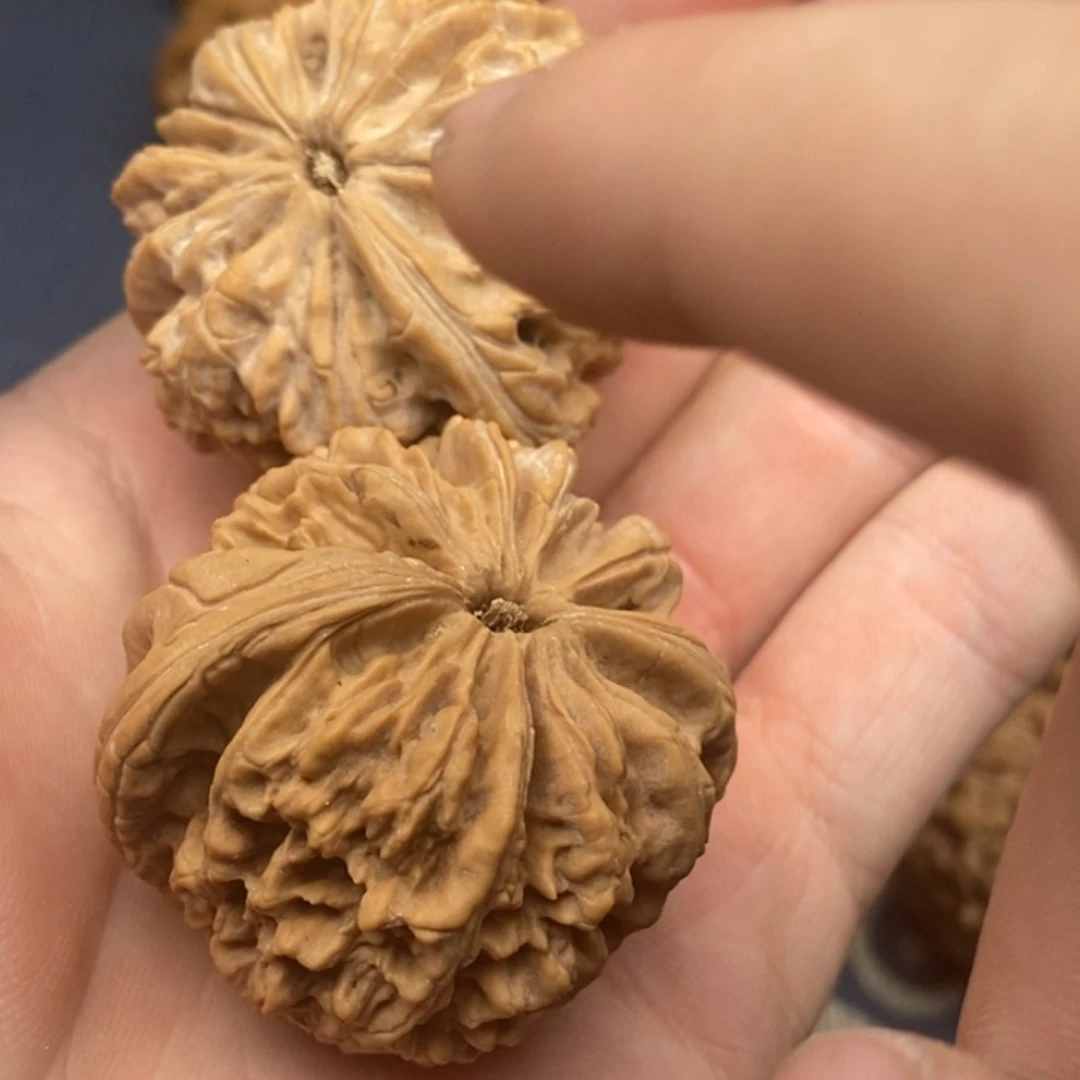 无惧统一战线我摸摸哦