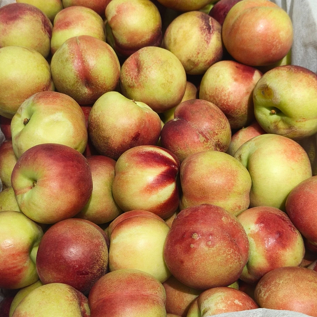 【鲜果速送】麻点丑油桃一袋3斤左右（特价个小介意慎拍）云南省