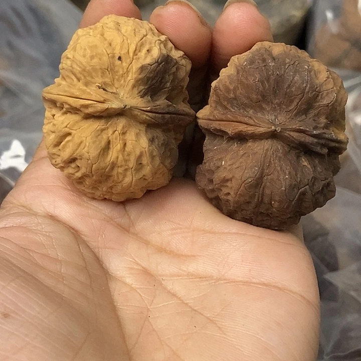 文玩核桃把件云南铁核桃基地32