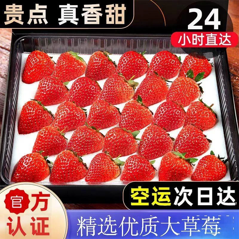 空运次日达】辽宁丹东九九草莓礼盒牛奶油白草莓红颜新鲜9长丰凉山