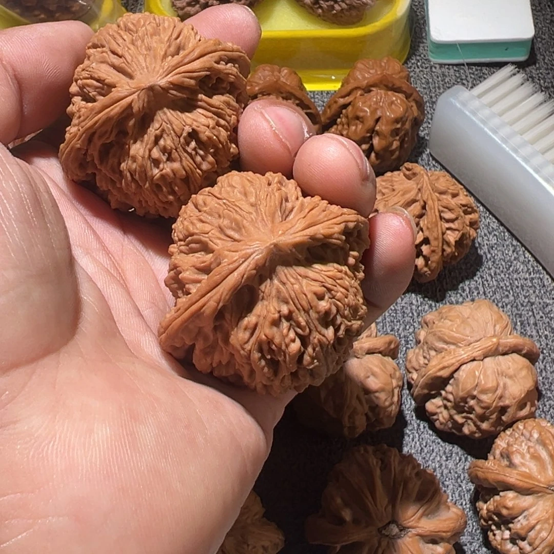 枯****文玩核桃手玩把件南疆