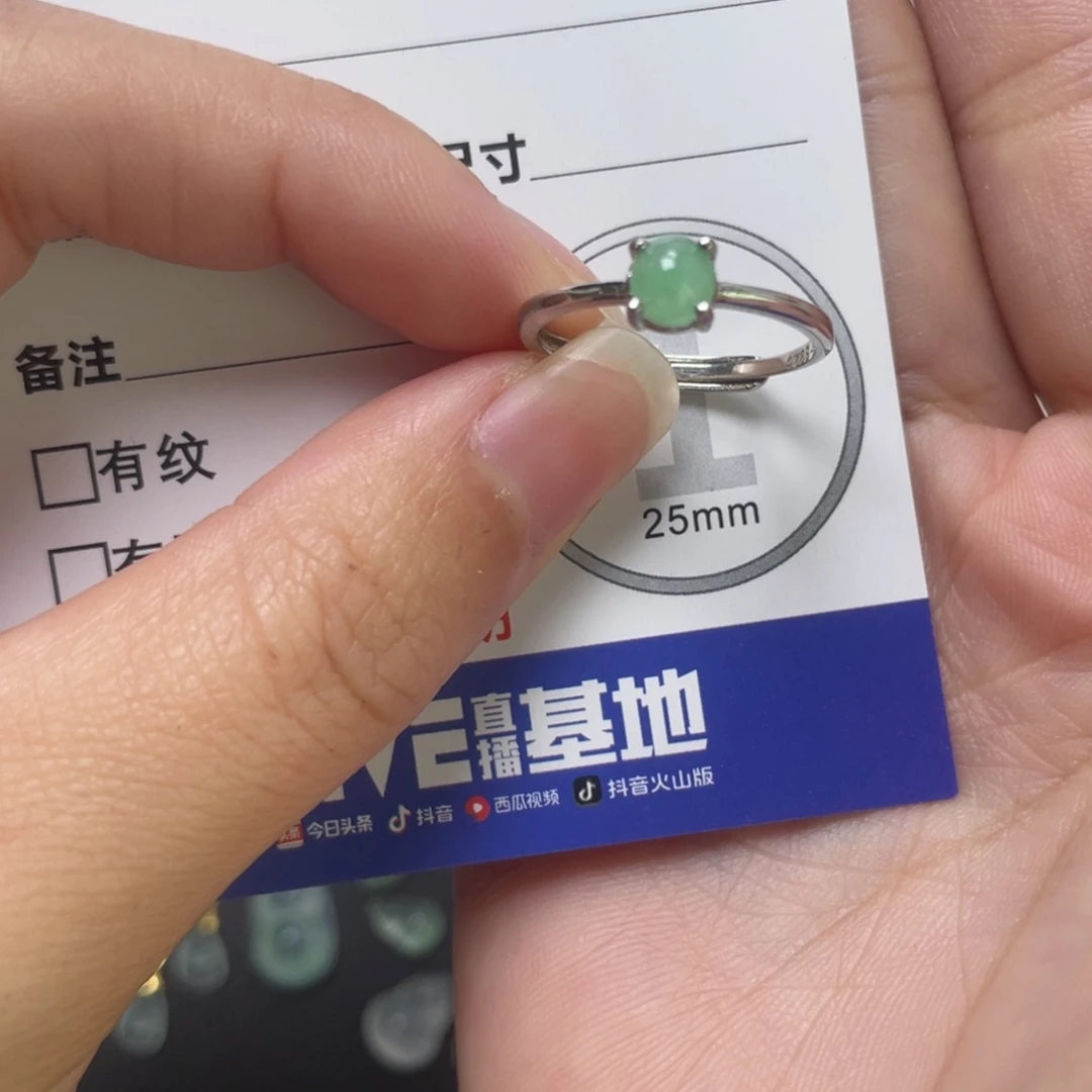 翡翠未镶嵌颈饰银镶缅料绿蛋