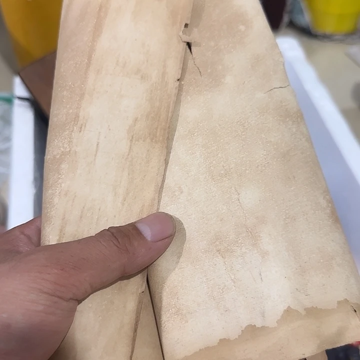 从***始香榧木guguhhhhbhbbvb