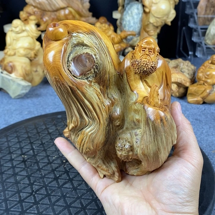 柏木崖柏崖柏崖柏崖柏崖柏