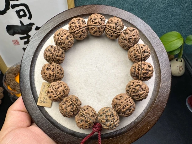 老原生态梁籽21头条