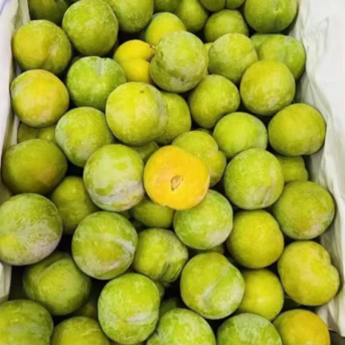 蜂糖李一盒果肉酥脆