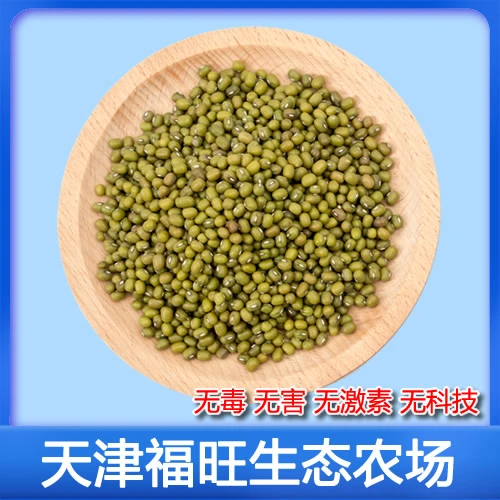 2025年新绿豆[起沙易烂/可生豆芽]
