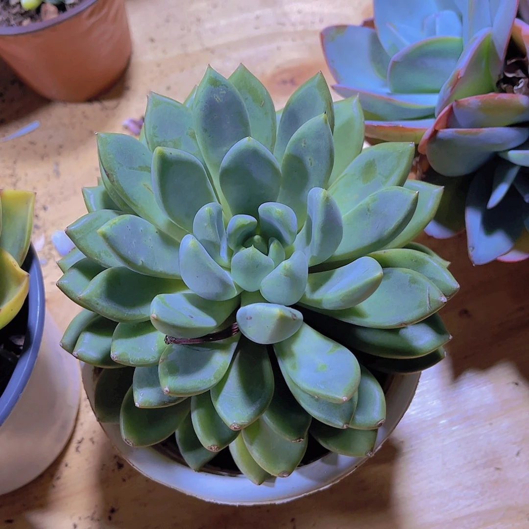 山**开00000000000167