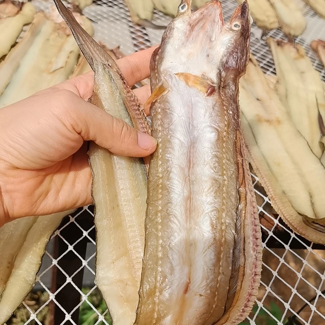 洞头淡晒无骨油鳗干500克