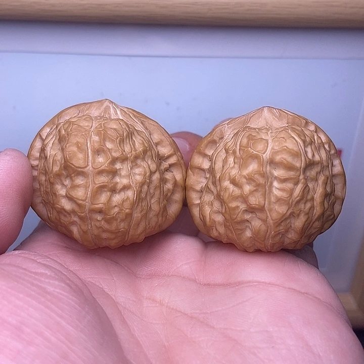 核桃小尺寸南瓜墩