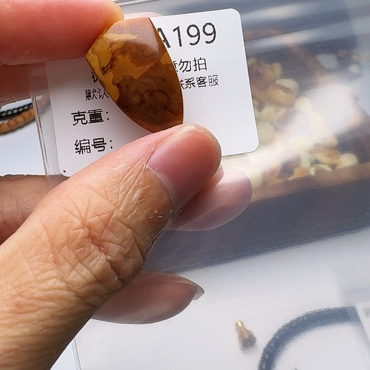 裸石琥珀未镶嵌琥珀